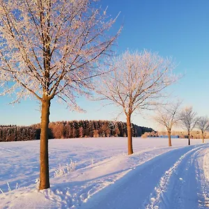 Ursula Apartment Schneeberg (Saxony)